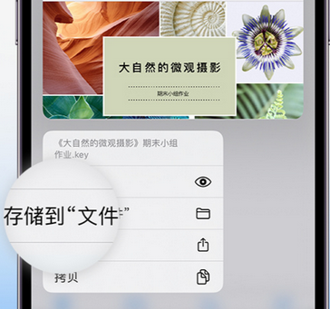 路北apple维修中心分享iPhone文件应用中存储和找到下载文件