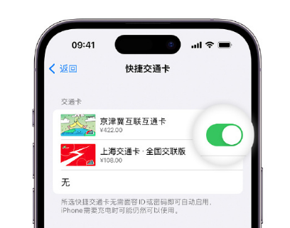 路北apple维修点分享iPhone上更换Apple Pay快捷交通卡手绘卡面 