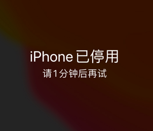 路北苹果手机维修分享:iPhone 显示“不可用”或“已停用”怎么办？还能保留数据吗？ 