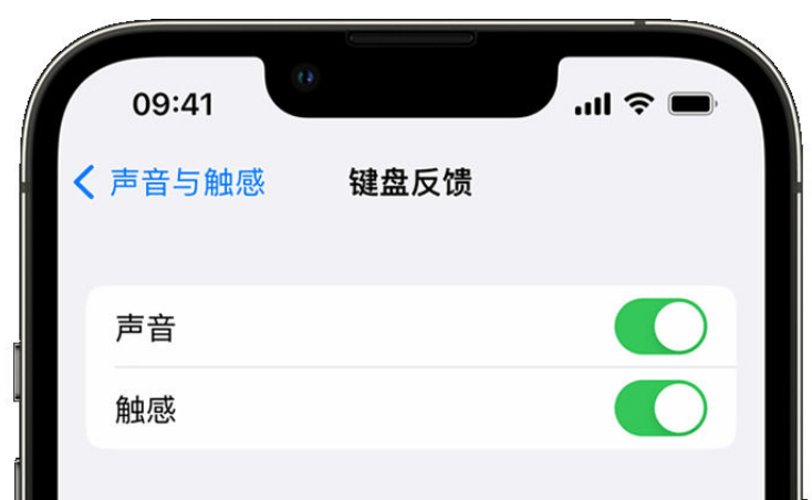 路北苹果手机维修分享iPhone 14触感键盘使用方法 