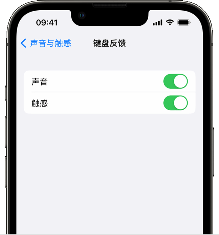 路北苹果14维修店分享如何在 iPhone 14 机型中使用触感键盘 