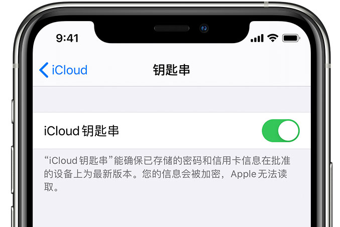 路北苹果手机维修分享在 iPhone 上开启 iCloud 钥匙串之后会储存哪些信息 