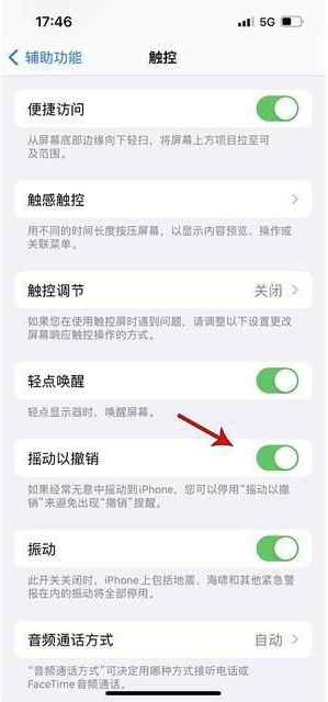 路北苹果手机维修分享iPhone手机如何设置摇一摇删除文字 